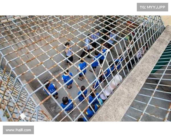 监狱生存法则:大监狱攻略手册 监狱生存法则:大监狱攻略手册